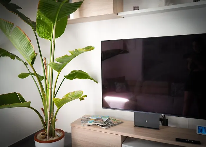 Netik - Tuscan Vineyard Escape 哥尔顿