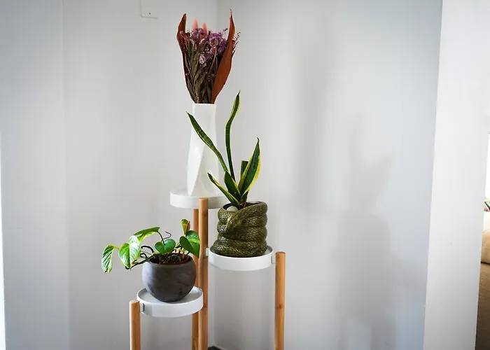 公寓 Netik - Tuscan Vineyard Escape