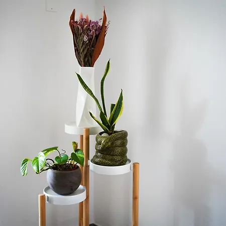 Daire Netik - Tuscany