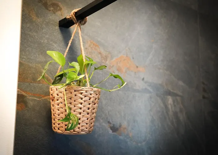 Netik - Tuscan Vineyard Escape